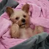 Benjamin Coy - @benjamin.coy1 - TikTok