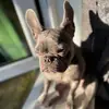 Benjamin Crabtree - @ben.crabtree_ - TikTok