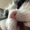 Benjamin Crabtree - @1237377badderz123 - TikTok