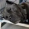 Benjamin Crain - @benjamin.crain - TikTok