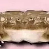 benjamin_cramer - @benjamin_cramer - TikTok