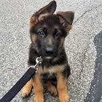 Benjamin Crane - @benjamin_crane38 - Instagram