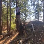 Ben Creelman - @benjamin.creelman - Instagram
