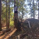 Ben Creelman - @benjamin.creelman - Instagram