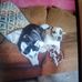 Benny Cripe - Facebook