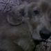 Benjamin Crisafulli - Facebook