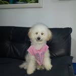 Benjamin Crispim - @benjamin_crispim - Instagram