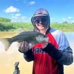 Benjamin Crispin - @benjamin_crispin11 - Instagram