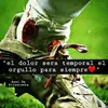 benjamincrispin3 - @benjamincrispin3 - TikTok