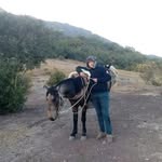 Benjamin Cristobal Herrera - @_.benjaherrera._ - Instagram