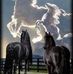 Benjamin Cortes - Facebook