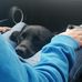 Benjamin Crosby - Facebook
