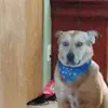 benjamincrouch887 - @benjamincrouch887 - TikTok