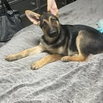 Benjamin Crowder - @benjamin.crowder.10 - Instagram