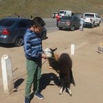 Benjamin Cuellar - @benjamin.cuellar.7399 - Instagram