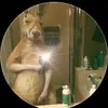 Benjamin Cuellar - @benjamin.cuellar28 - TikTok