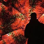 Benjamin Cullen - @benjamincullen87 - Instagram