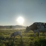 Benjamin Lundgren - @cushing.farmer - Instagram