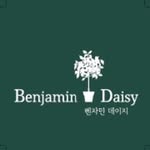 벤자민데이지 - @benjamin_daisy - Instagram