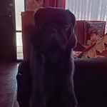 Benjamin Diaz García - @benjamindalessandro2007 - Instagram