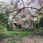 Benjamin Davidson - @the_thunderbird_lodge - Instagram