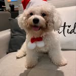 Benjamin Diamond - @benjamindiamondbestwestern - Instagram