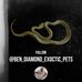 Benjamin Diamond - Facebook