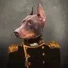 dukebenjamin117 - @dukebenjamin117 - TikTok