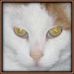 Benjamin Dutcher - Facebook