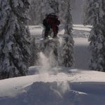 Benjamin Dwyer - @bdboarder - Instagram