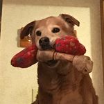 Ben Beasley - @benjamin.beasley - Instagram