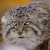 Benjamin Ebere - @benjamin.ebere5 - TikTok