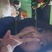 Benjamine Berdin - Facebook