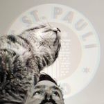 Benjamin Ebert - @fcstpauliboyhh - Instagram