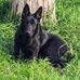 Benjamin Eberwein - Facebook