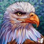 benjamin.eckelt - @benjamin.eckelt - Instagram