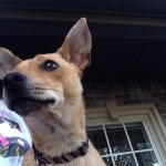 Benjamin Edmond - @cutiedog89 - Instagram