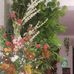 Benjamine Edouard - Facebook