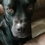 Benjamin Eisele - @benjamin.eisele - Instagram