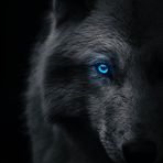 Ben Ellsworth - Facebook
