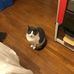 Benjamin Bunnell - Facebook