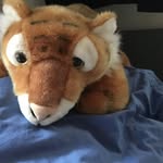 Benjamin Engelke - @benjamin56638 - Instagram