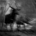 Benjamin Ernest - Facebook