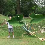 Benjamin Eser - @b.enjito - Instagram
