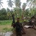 Benjamin Esmail - Facebook