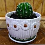Benjamín Esparza - @queakan - Instagram