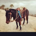 benjamin avila espina - @benjaminavilaespina - Instagram
