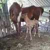 Benjamin Espino - @benjamin.espino1 - TikTok