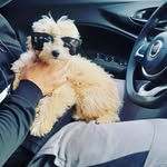 Benjamin Esposito - @benja_pro_gamer_yeah - Instagram