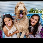 Benjamin Essam - @essambenjamin - Instagram